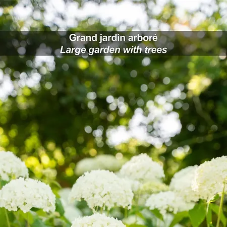 La Ferme De Bourran - - Parking Privé, Soirée étape, Bornes Voitures électriques Hotel 4*