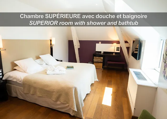 ホテル La Ferme De Bourran - - Parking Prive, Soiree Etape, Bornes Voitures Electriques