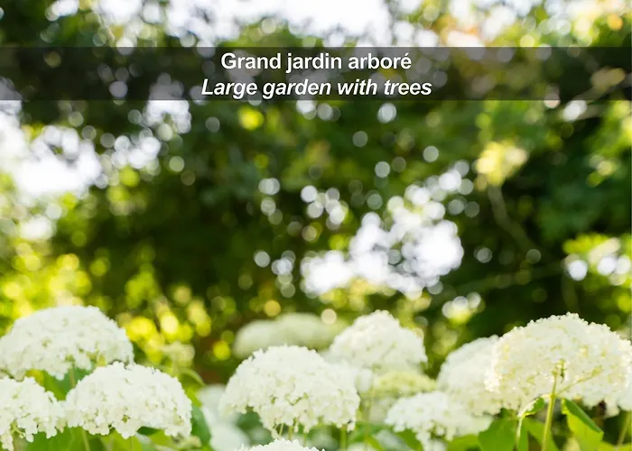 La Ferme De Bourran - - Parking Prive, Soiree Etape, Bornes Voitures Electriques ホテル 4*