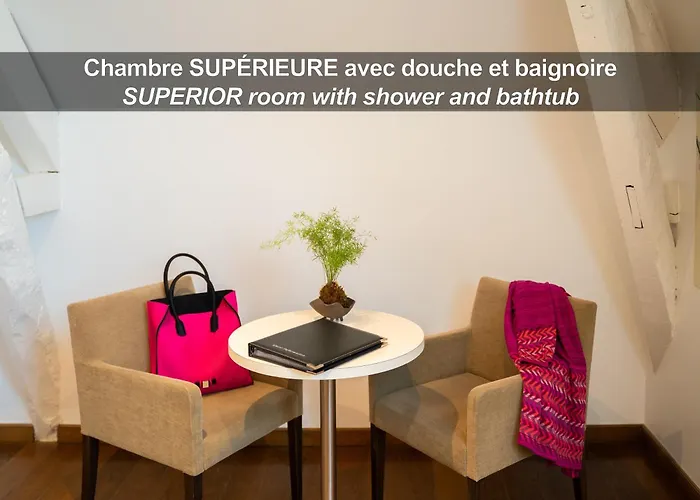 ホテル La Ferme De Bourran - - Parking Prive, Soiree Etape, Bornes Voitures Electriques 4*