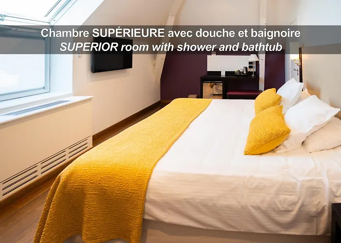 ホテル La Ferme De Bourran - - Parking Prive, Soiree Etape, Bornes Voitures Electriques ロデーズ